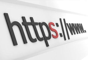 HTTPS加密為互聯(lián)網(wǎng)政務(wù)信息安全保駕護航
